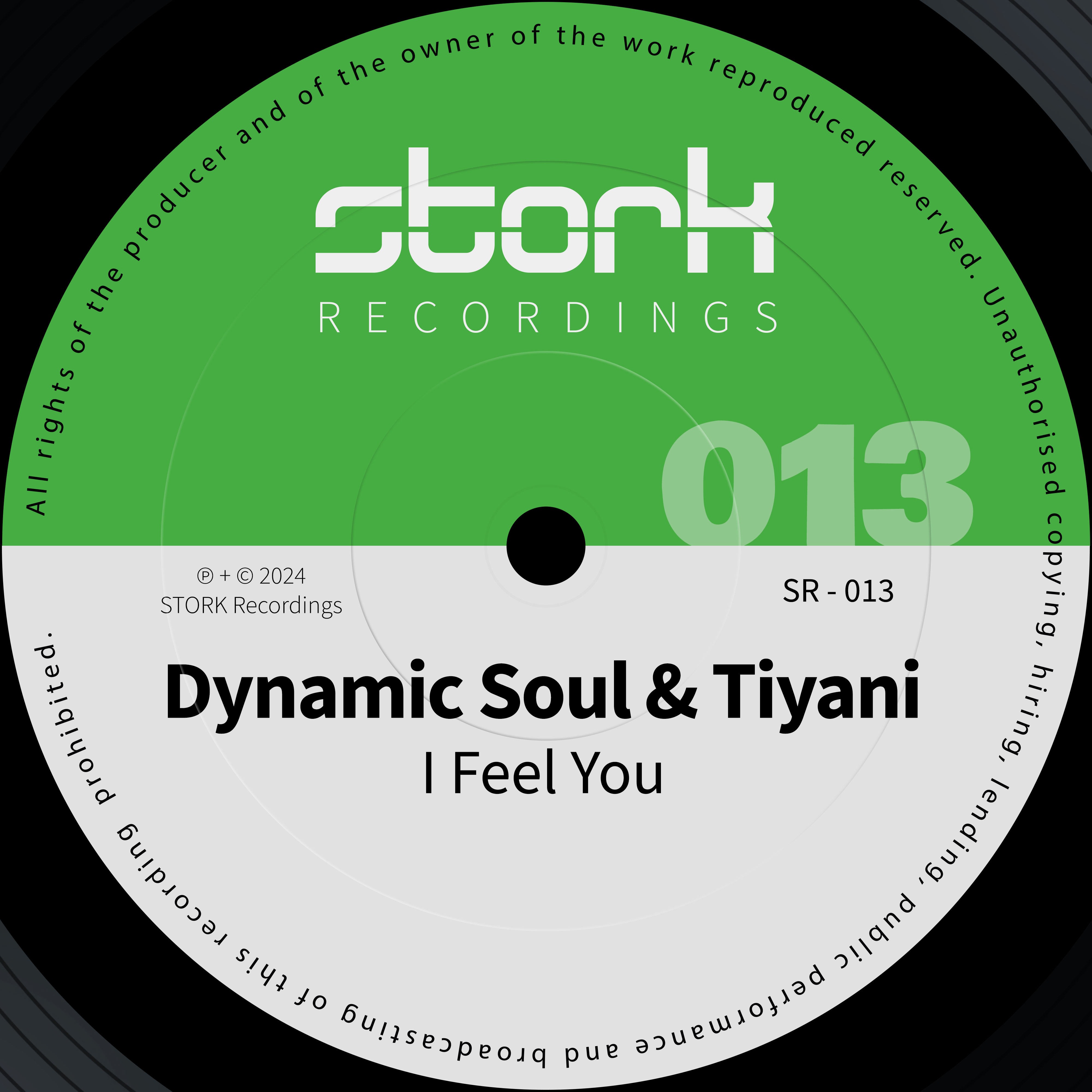 I Feel You by Dynamic Soul & Tiyani – STORK Recordings SR-013